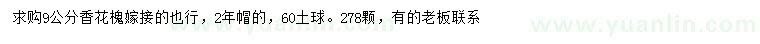 求購9公分香花槐
