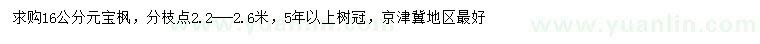 求購16公分元寶楓