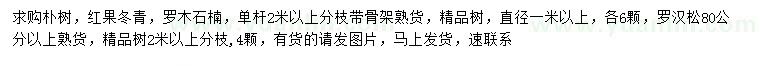 求購樸樹、紅果冬青、羅木石楠等