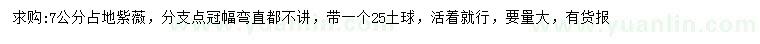 求購7公分占地紫薇