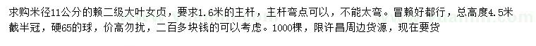 求購米徑11公分大葉女貞