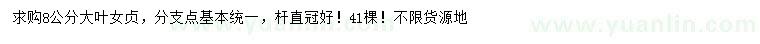 求購8公分大葉女貞