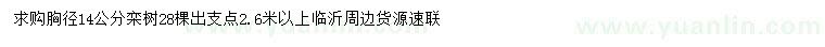 求購胸徑14公分欒樹(shù)