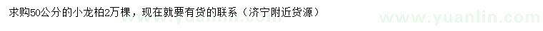 求購(gòu)50公分小龍柏