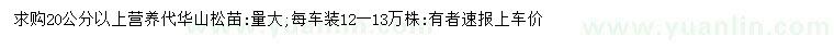 求購20公分以上華山松