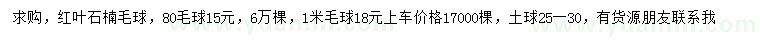 求購80、100公分紅葉石楠毛球