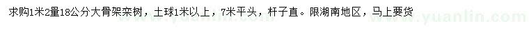 求購1.2米量18公分欒樹