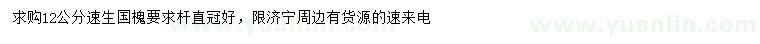 求購12公分速生國槐