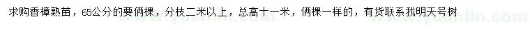 求購65公分香樟