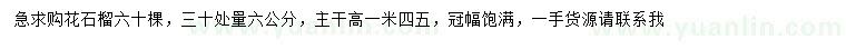 求購(gòu)30公分量6公分花石榴