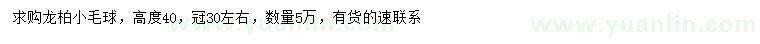 求購高40公分龍柏小毛球