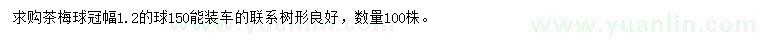 求購(gòu)冠幅1.2米茶梅球