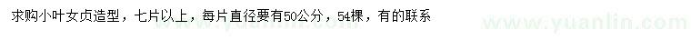 求購小葉女貞