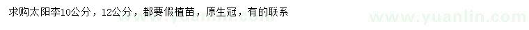 求購10、12公分太陽李