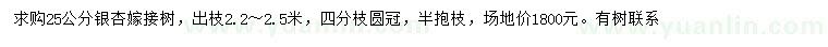 求購(gòu)25公分銀杏