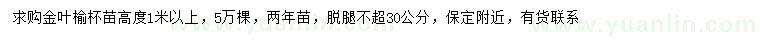 求購高1米以上金葉榆