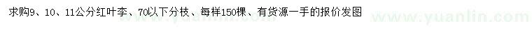 求購9、10、11公分紅葉李