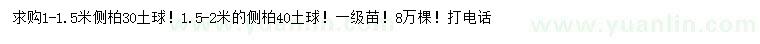 求購1-1.5、1.5-2米側(cè)柏