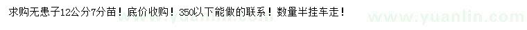 求購(gòu)12公分無患子
