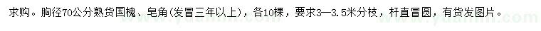 求購胸徑70公分國槐、皂角