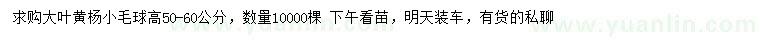 求購高50-60公分大葉黃楊小毛球