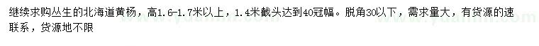求購高1.6-1.7米以上叢生北海道黃楊