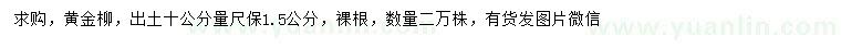 求購(gòu)10公分量1.5公分黃金柳