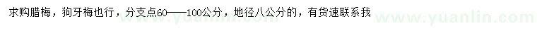 求購(gòu)地徑8公分臘梅、狗牙梅