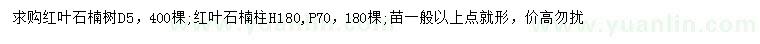求購(gòu)地徑5公分紅葉石楠、高紅葉石楠柱