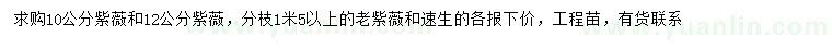 求購10、12公分紫薇