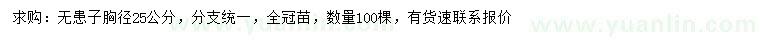 求購(gòu)胸徑25公分無(wú)患子