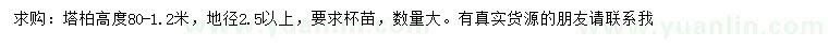 求購地徑2.5公分以上塔柏