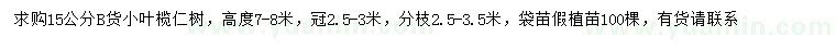 求購15公分小葉欖仁樹