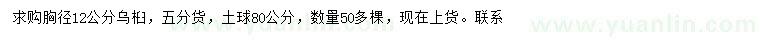 求購胸徑12公分烏桕