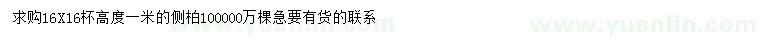 求購(gòu)高1米側(cè)柏