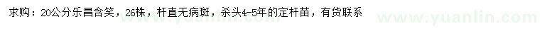 求購20公分樂昌含笑