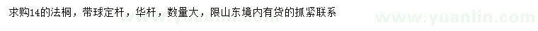求購14公分法桐