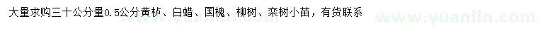 求購黃櫨、白蠟、國槐等