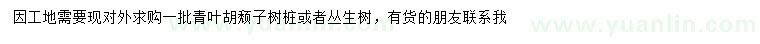 求購青葉胡頹子樹樁或叢生青葉胡頹子		
