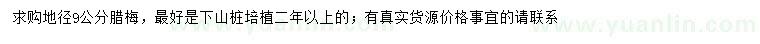 求購地徑9公分臘梅		
