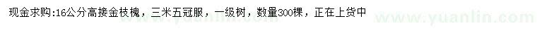 求購(gòu)16公分高接金枝槐