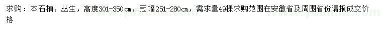 求購高301-350公分叢生本石楠		