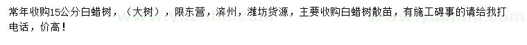 求購15公分以上白蠟