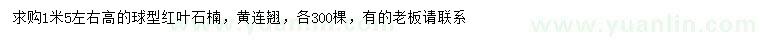 求購(gòu)高1.5米左右紅葉石楠、黃連翹