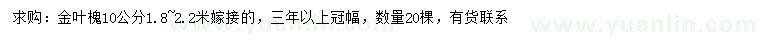 求購10公分金葉槐