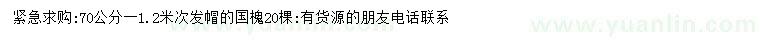 求購70-120公分國槐
