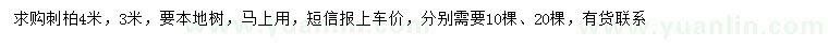 求購3、4米刺柏