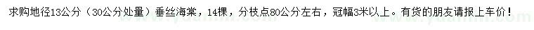 求購(gòu)30公分量地徑13公分垂絲海棠