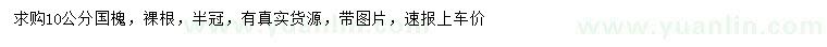 求購10公分國槐