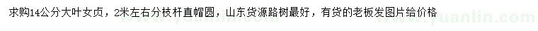 求購(gòu)14公分大葉女貞